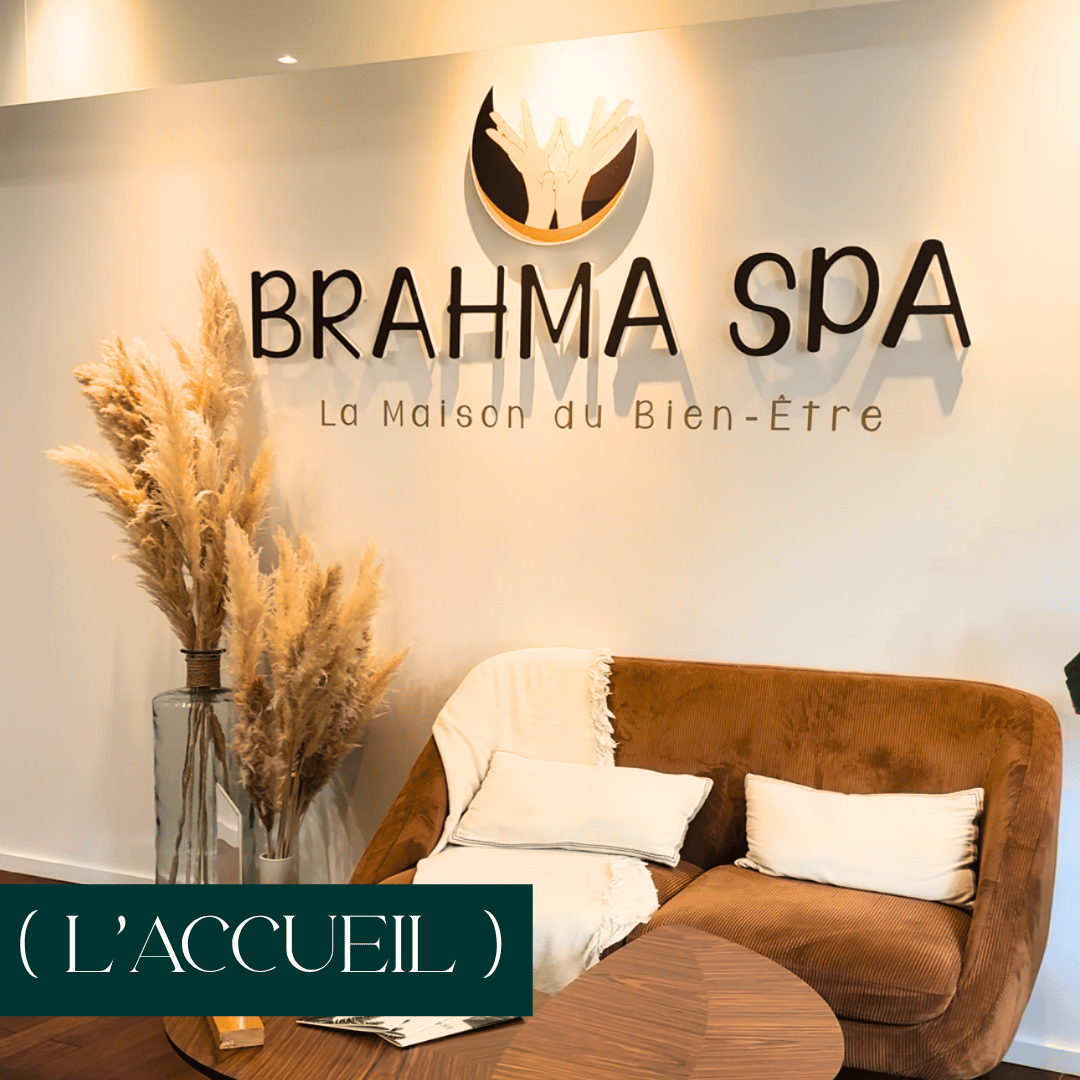 vidéo site brahma (36)